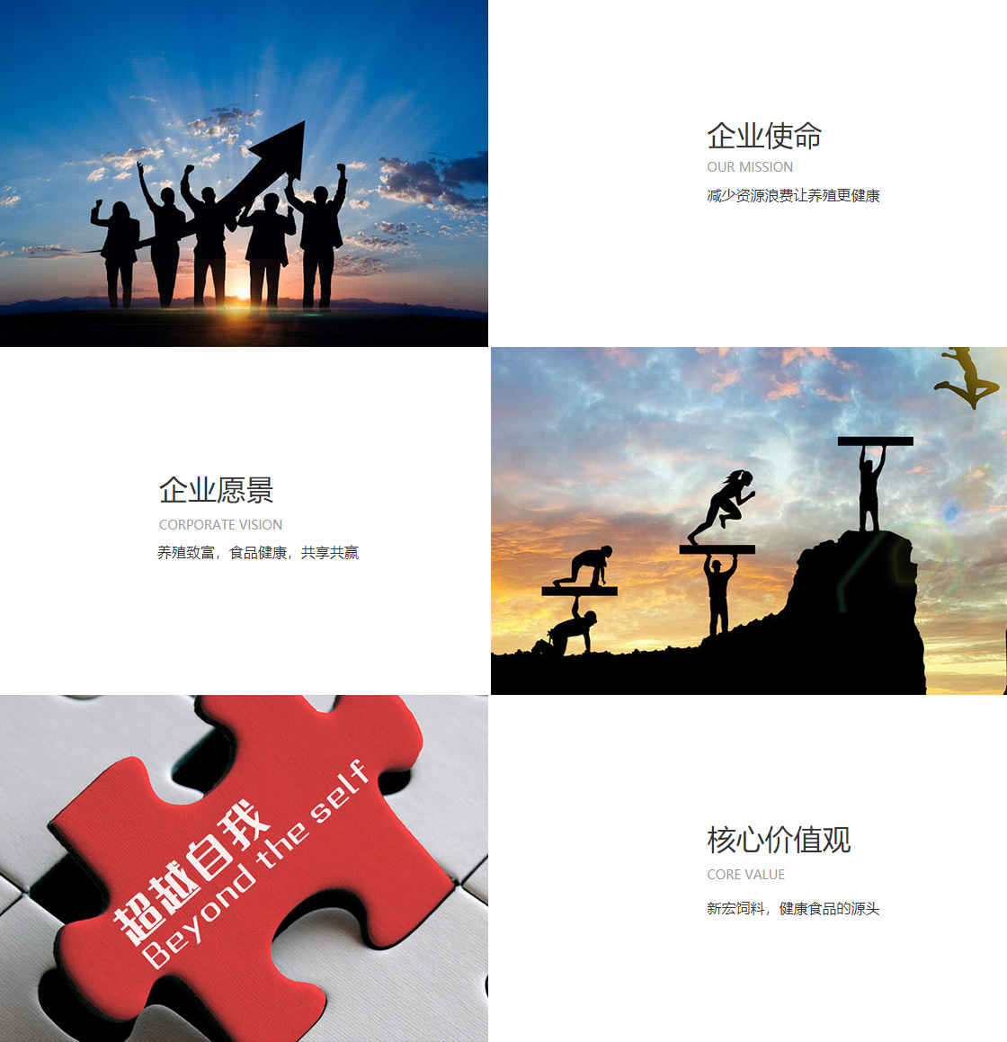 okpay钱包app安装(图1)